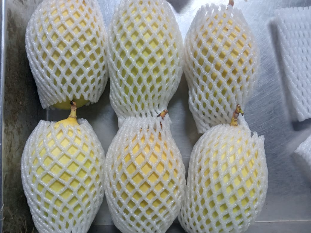 A-Grade Mangoes
